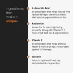 Minimalist L-Ascorbic Acid 08% Lip Treatment Balm (1)